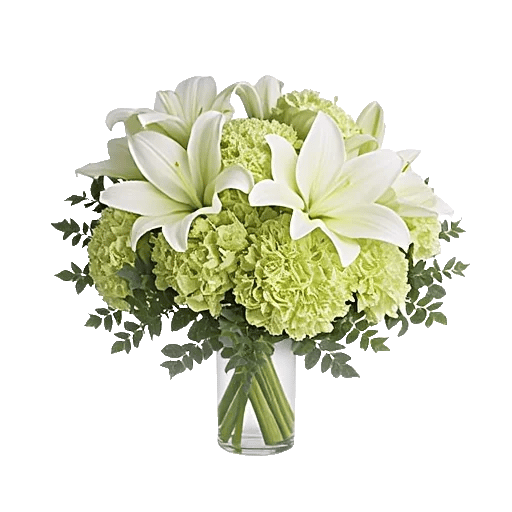 Ivory Blossom Radiance