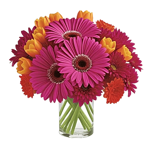 Petal Radiance Bliss