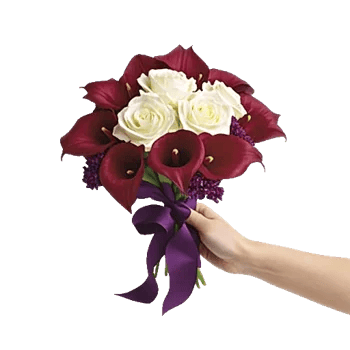 Elegant Calla Lilies