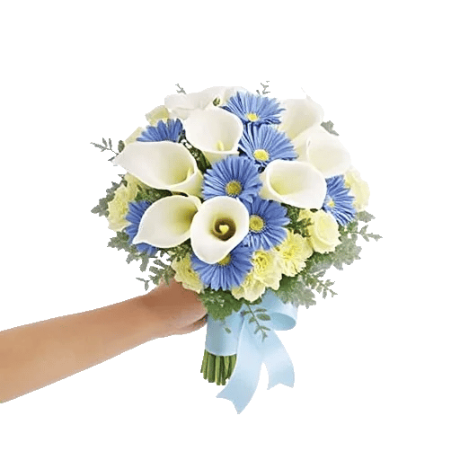 Elegant Calla Lilies