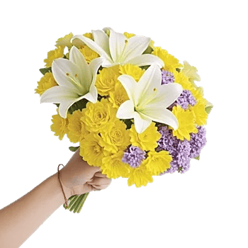 Blossom Harmony Display