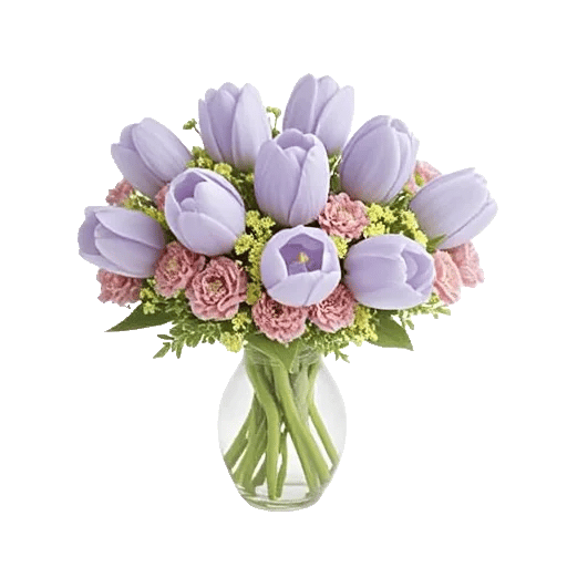 Velvet Tulip Display