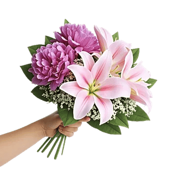 Peony Petal Harmony