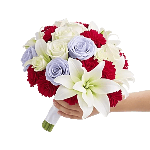 Blushing Rose Symphony