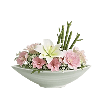 Ivory Blossom Radiance