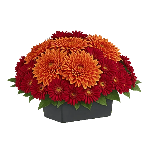 Radiant Bloom Cascade