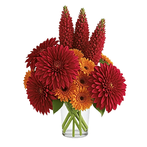 Crimson Blossom Harmony