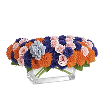 Sapphire Bloom Whisper