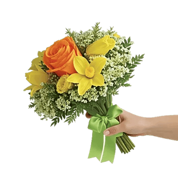 Blushing Rose Symphony