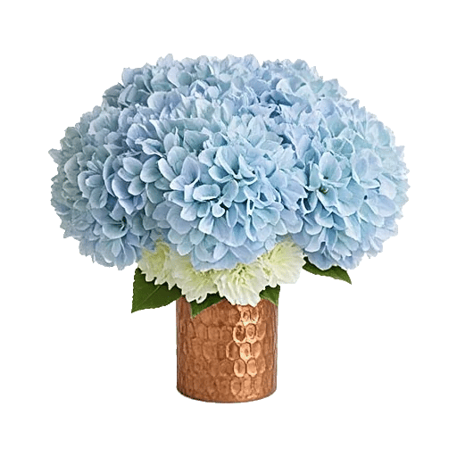 Serene Garden Harmony