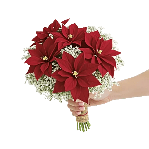 Delicate Petal Cascade