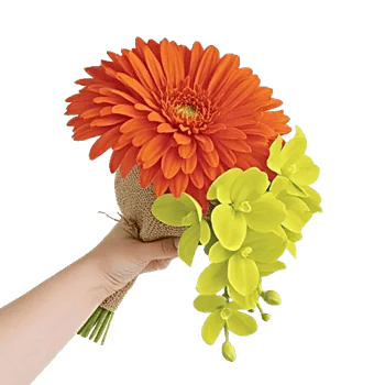 Radiant Bloom Cascade