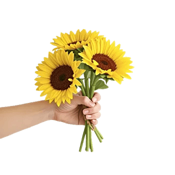 Twinkling Sunflower Dance