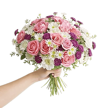 Pink Pastel Roses