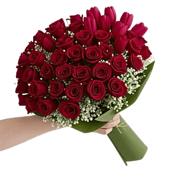 Crimson Rose Elegance