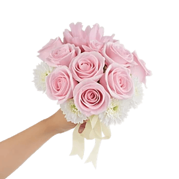 Pastel Pink Roses