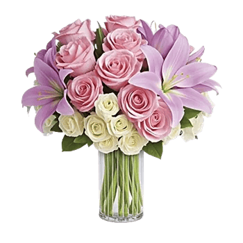 Ivory Blossom Radiance