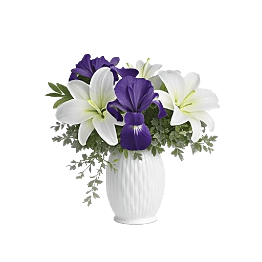 Ivory Blossom Radiance