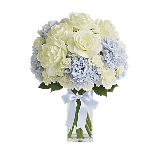 Serene Petal Harmony