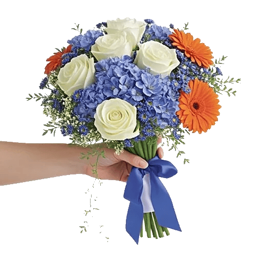 Serene Petal Harmony