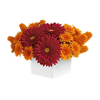 Radiant Bloom Cascade