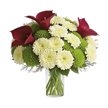 Elegant Calla Lilies