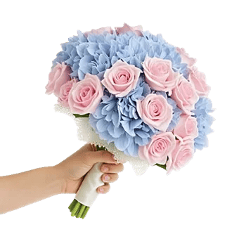 Serene Petal Harmony
