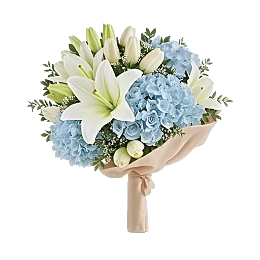 Ivory Blossom Radiance