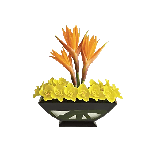 Orchid Petal Glow