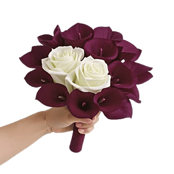 Elegant Calla Lilies