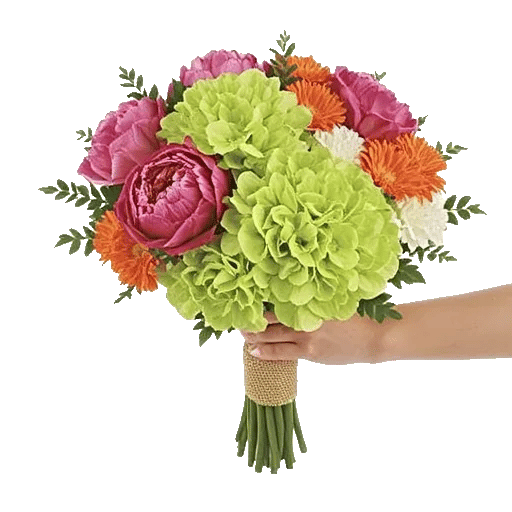 Serene Petal Harmony