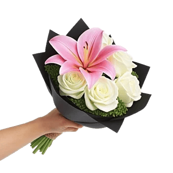 Blushing Rose Symphony