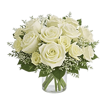 Serene Petal Harmony