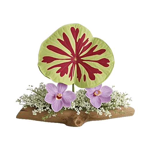 Orchid Bloom Cascade