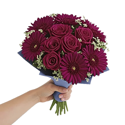 Blushing Rose Symphony