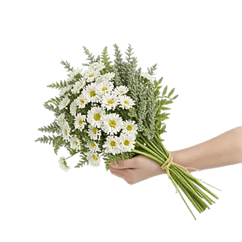 Rosemary Bloom Elegance