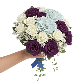 Ivory Blossom Radiance