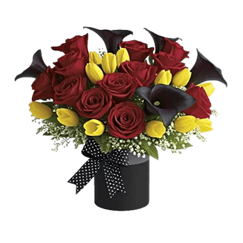 Elegant Calla Lilies