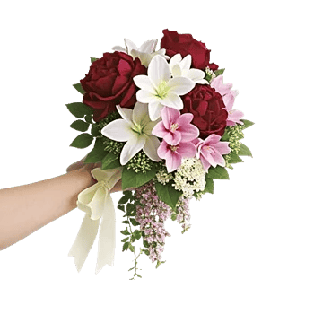Delicate Petal Cascade