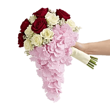 Delicate Petal Cascade