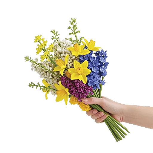 Blossom Harmony Display