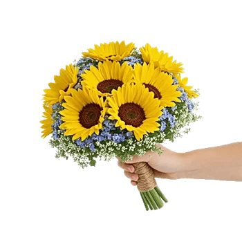 Twinkling Sunflower Dance