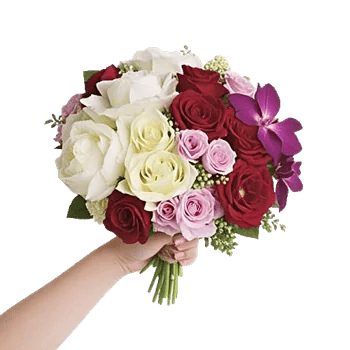 Petal Grace Harmony