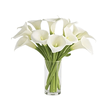 Elegant Calla Lilies