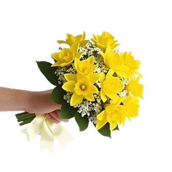 Blossom Harmony Display