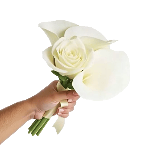 Ivory Garden Grace