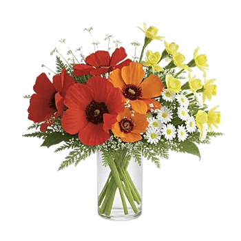 Petal Radiance Bliss