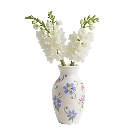 Ivory Blossom Radiance