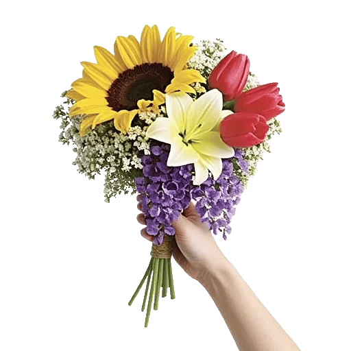 Twinkling Sunflower Dance