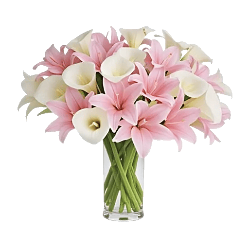 Elegant Calla Lilies